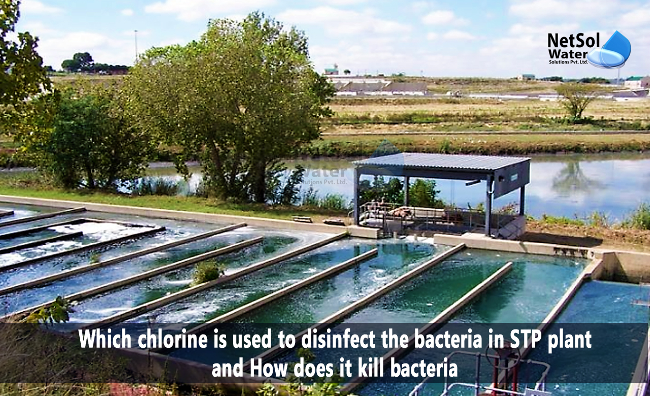 Types of chlorine used to disinfect bacteria in STP Plant, Relationship between pH and chlorine, Factors that affect chlorine disinfection