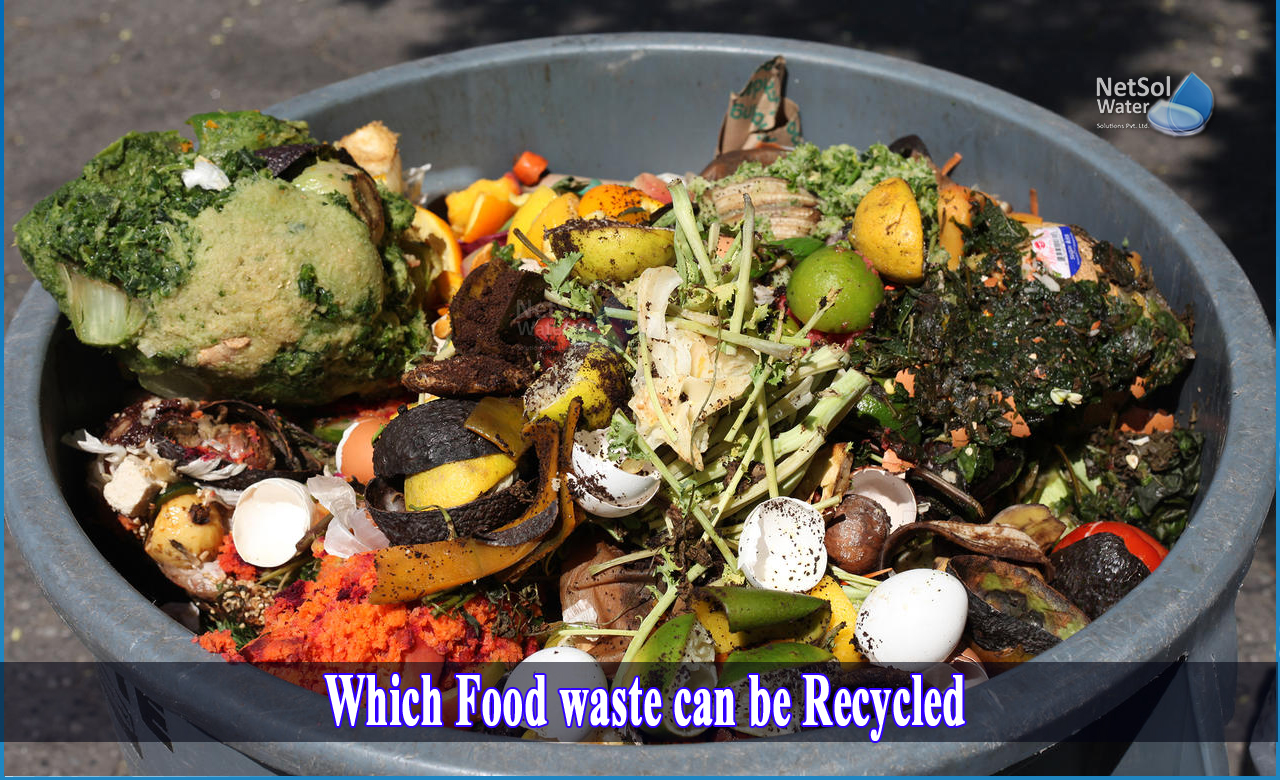 Which Food Waste Can Be Recycled Netsol Water