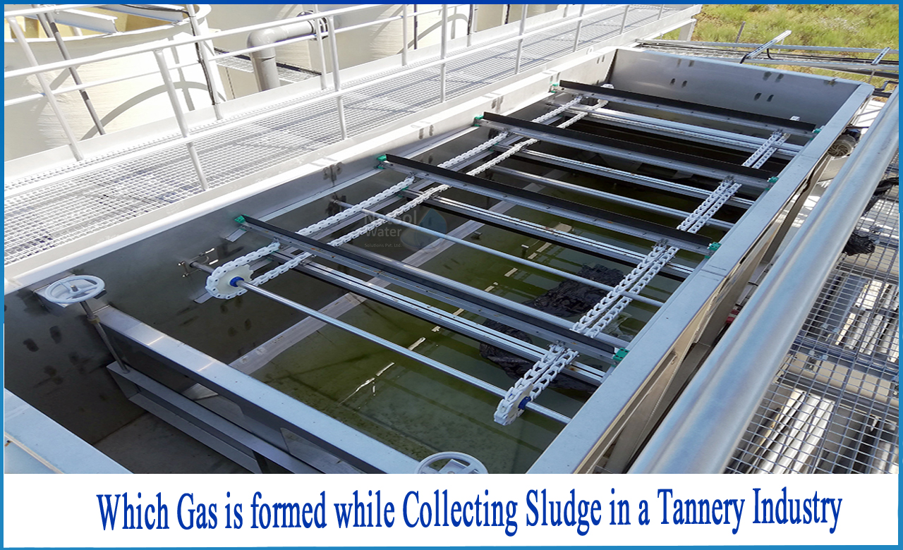 tannery effluent pollution and its control, tannery effluent characteristics, tannery industry pollution