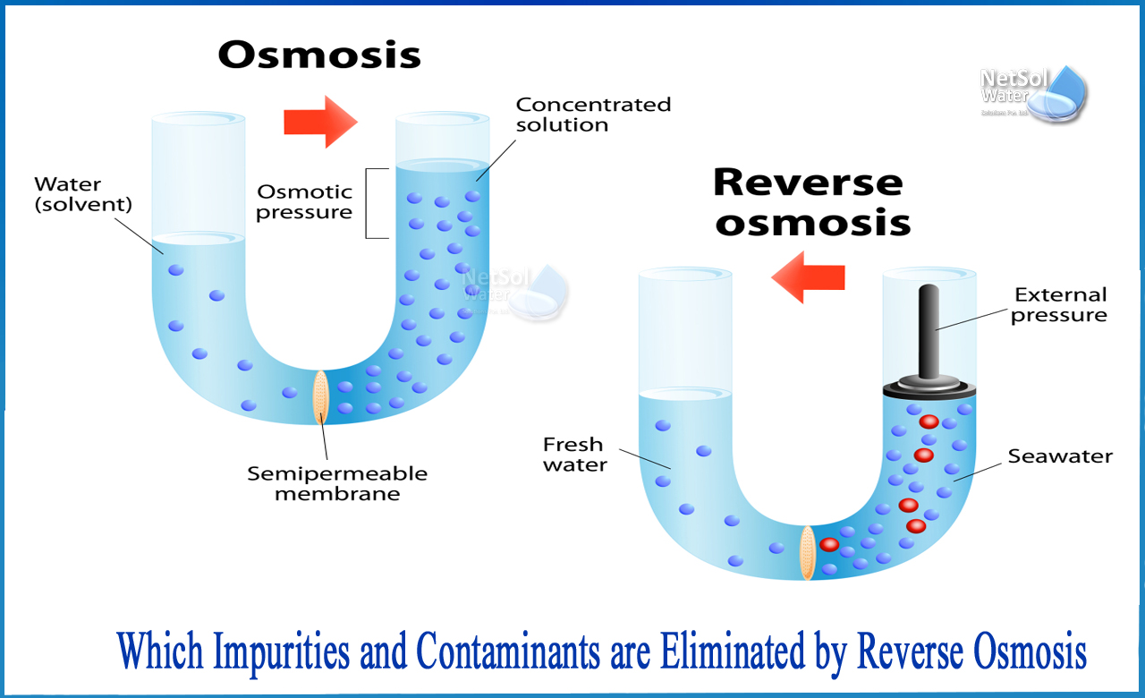reverse osmosis bacterial contamination, what is not removed by reverse osmosis