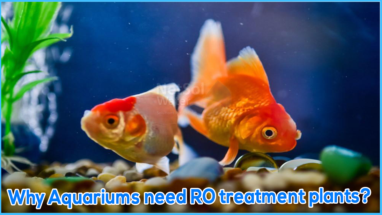 Why Aquariums need RO treatment plants