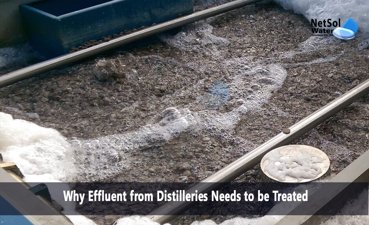 How do you treat wastewater from distillery industry, Why should effluents be treated before discharge, What is effluent in distillery