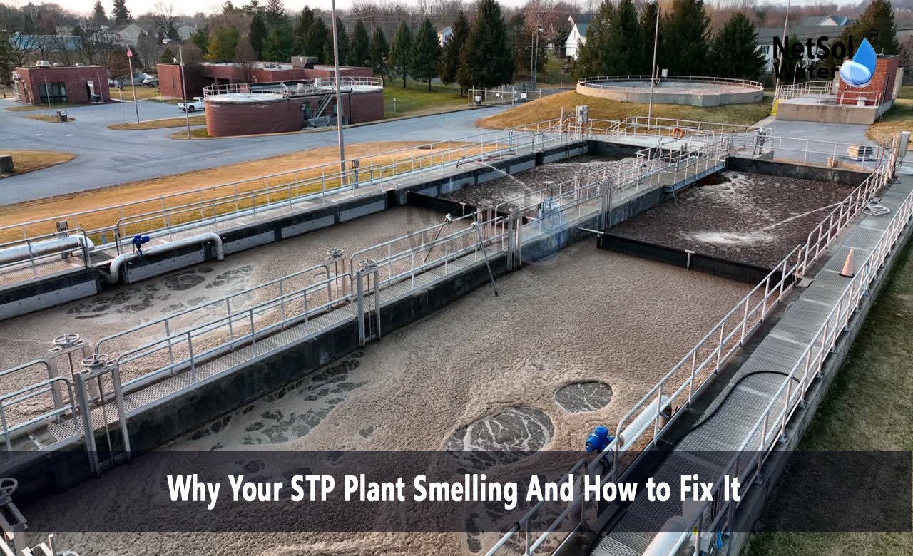 How to reduce STP smell, Why does my treatment plant smell, How do I stop my plants water from smelling