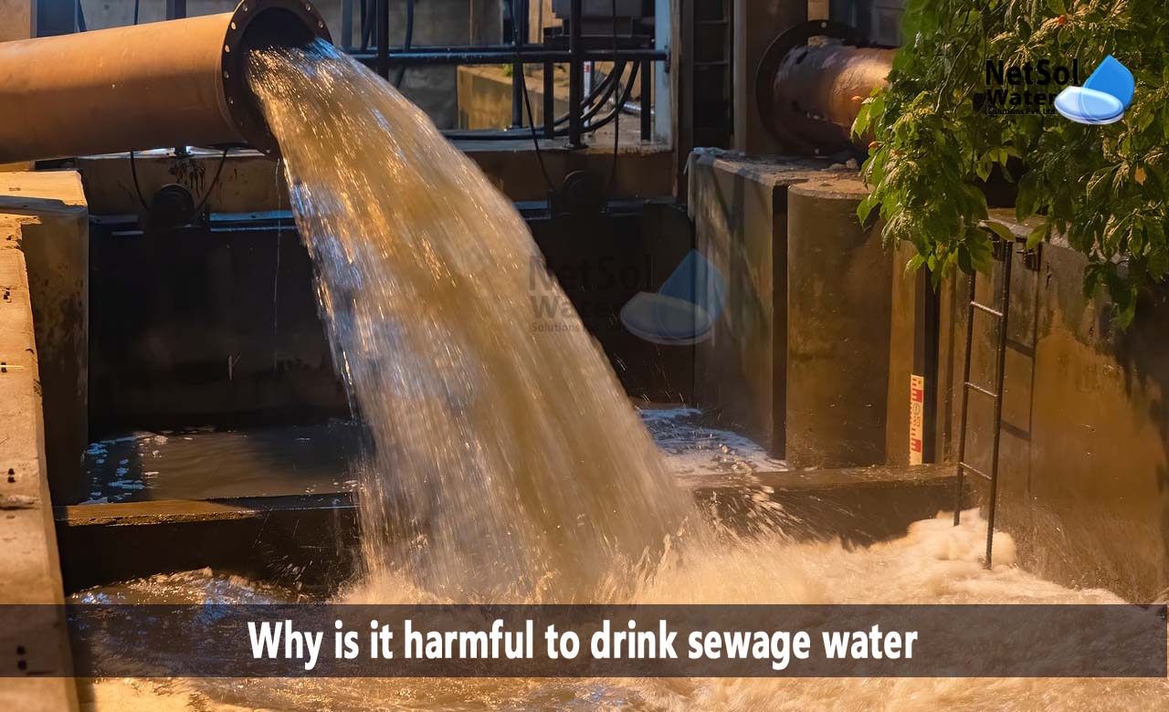 sewage contamination in drinking water, harmful effects of sewage water pollution, effects of sewage on environment