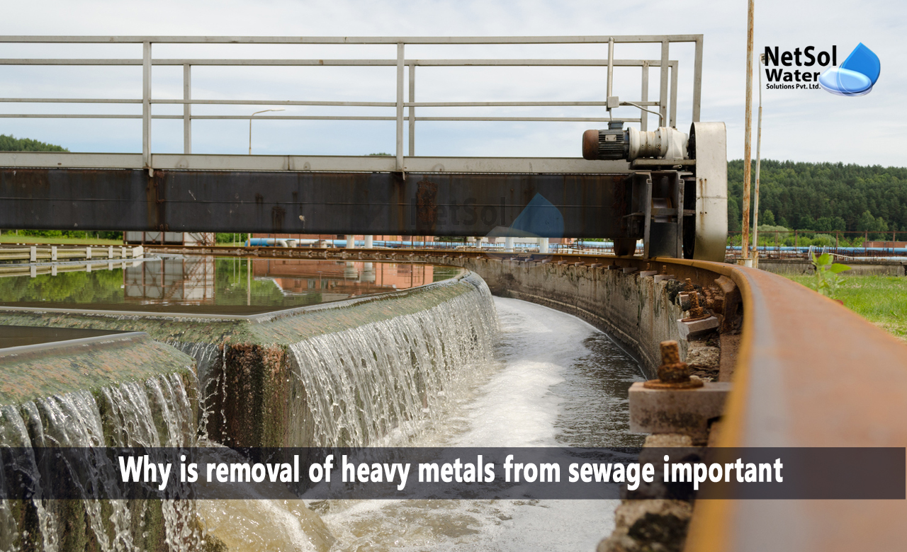 Harmful effects of heavy metals on the Human Body, 