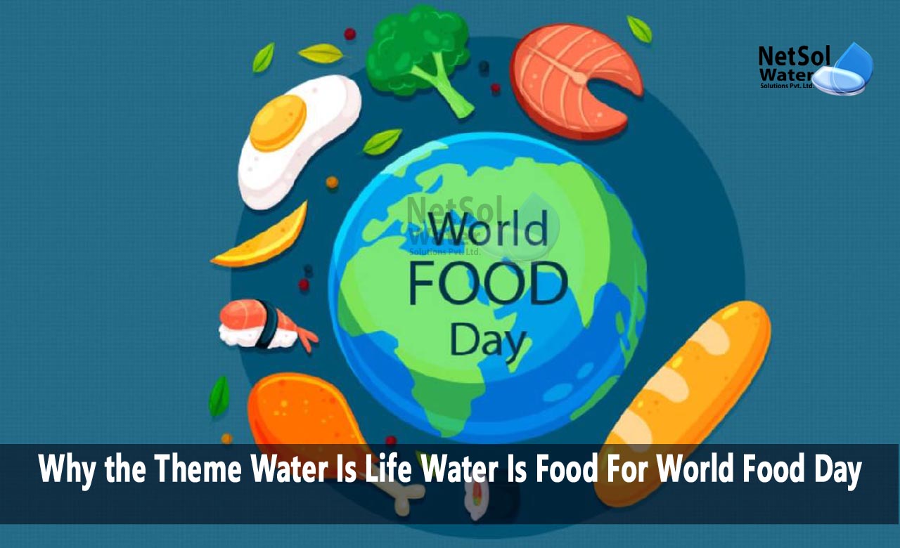 Water Is Life Water Is Food, Theme for Water Is Life Water Is Food For World Food Day