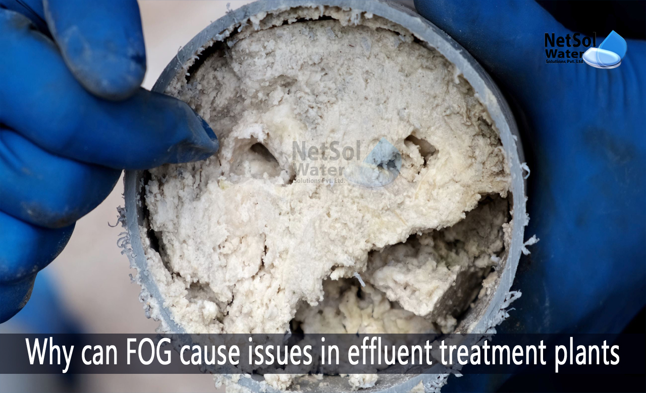 fog removal wastewater treatment, why is it necessary to remove oils grease and fats from the sewage, fat oil and grease removal from wastewater