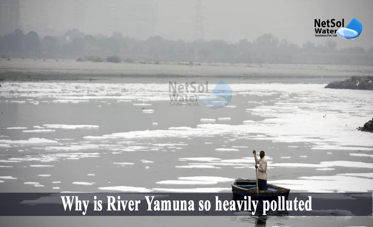 why is river yamuna getting polluted, effects of pollution on river yamuna, Why is River Yamuna so heavily polluted