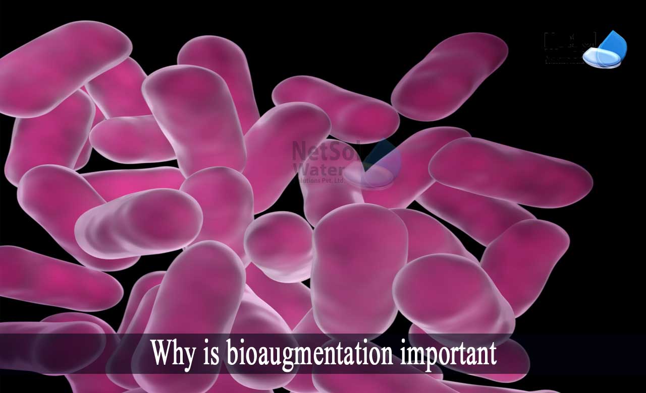 advantages of bioaugmentation, bioaugmentation applications, bioaugmentation advantages and disadvantages