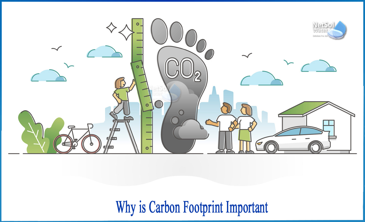 how can we reduce carbon footprint, importance of carbon footprint for our sustainability, what is carbon footprint