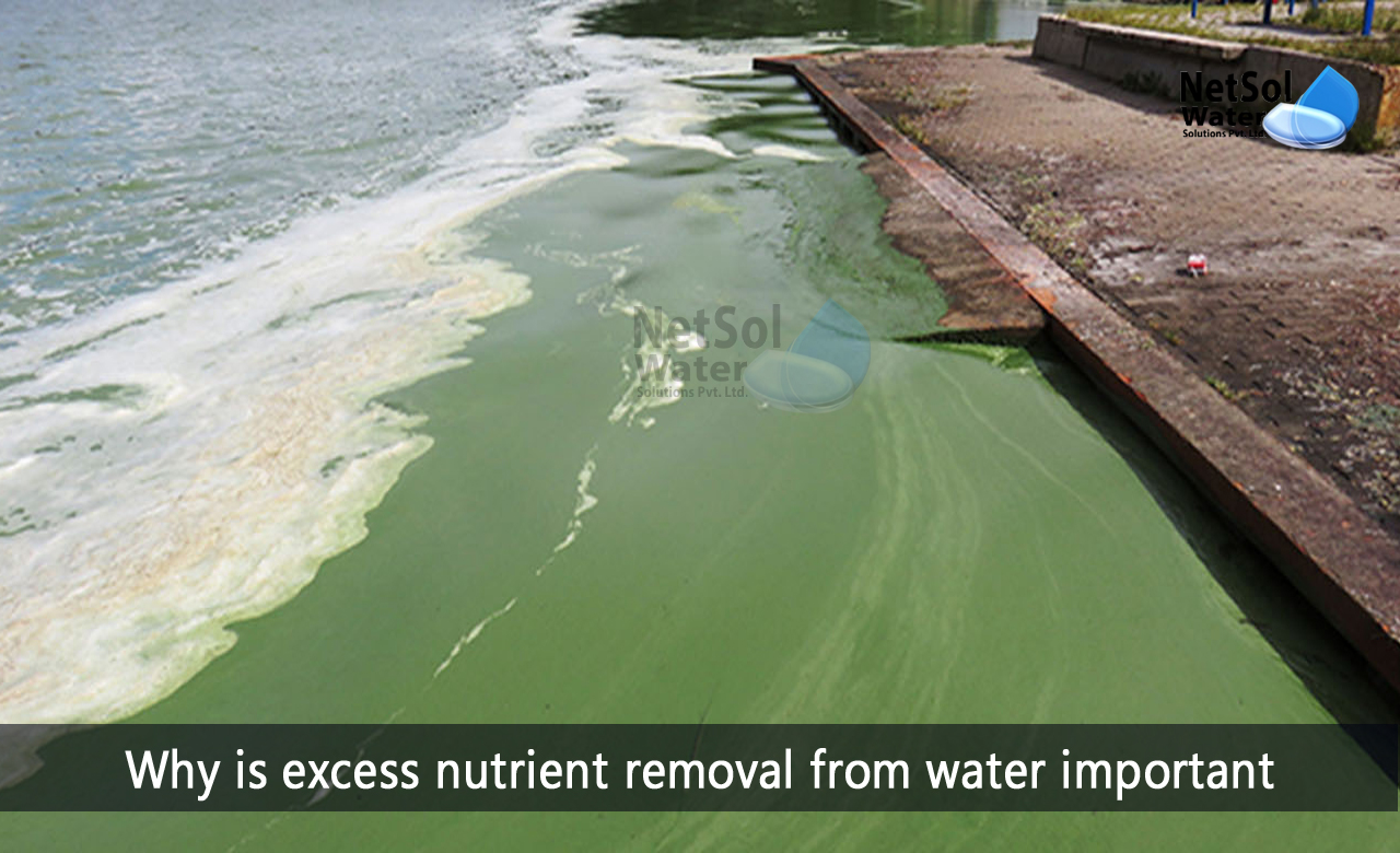 nutrient removal in wastewater treatment, removal of nitrogen and phosphorus from wastewater, what happens when too much nitrogen and phosphorus are in the water