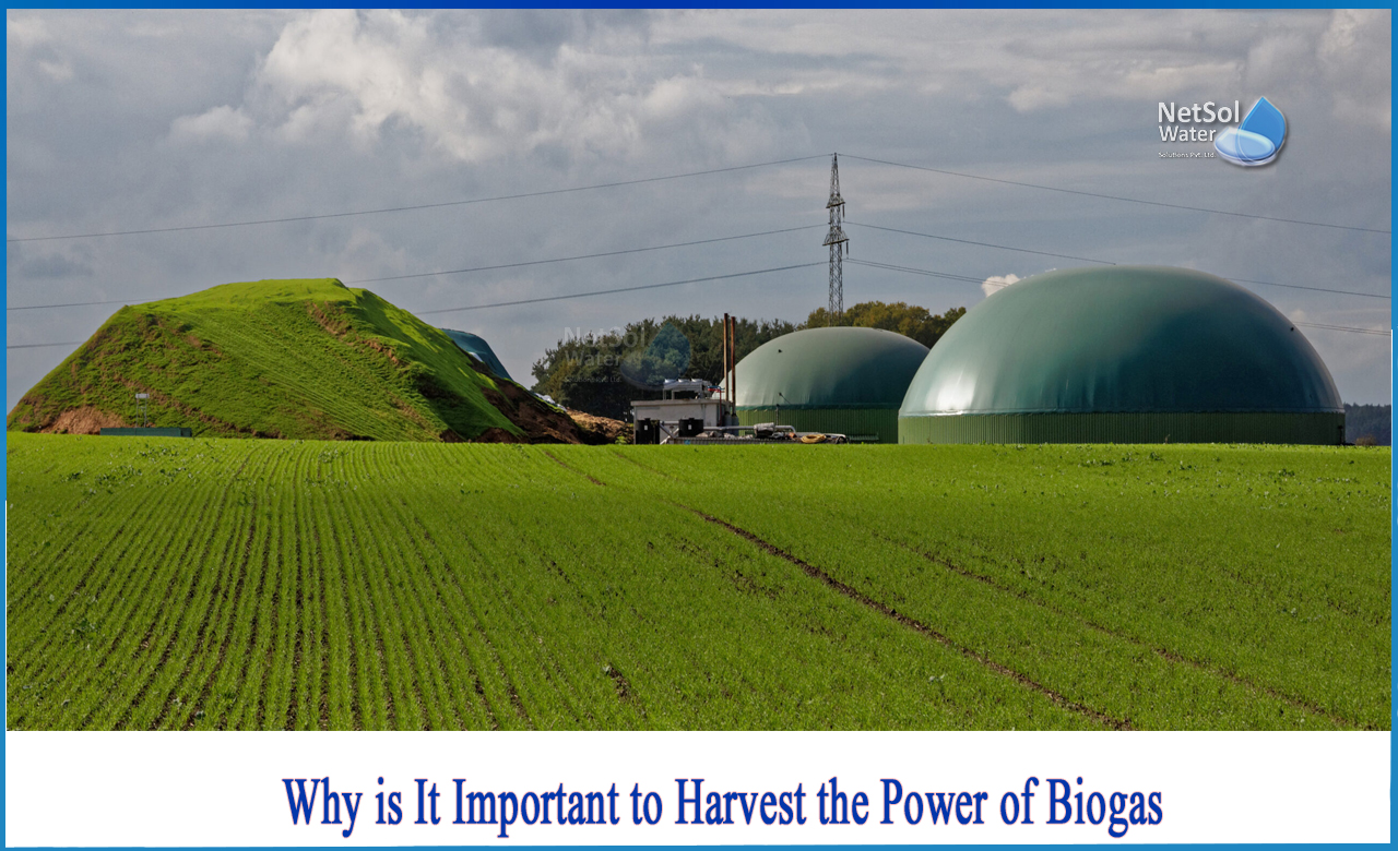 what is biogas, biogas is produced by which process, biogas contains methane percentage