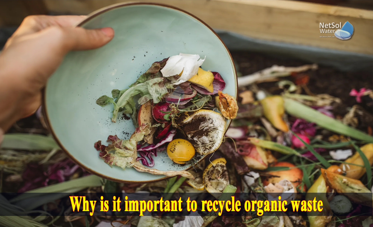 disadvantages of organic waste, recycling of waste, ways to eliminate organic waste
