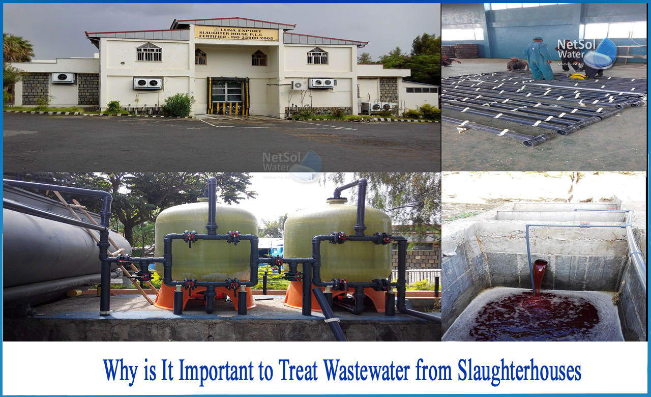 slaughterhouse wastewater characteristics, slaughterhouse wastewater treatment in india, slaughterhouse water consumption