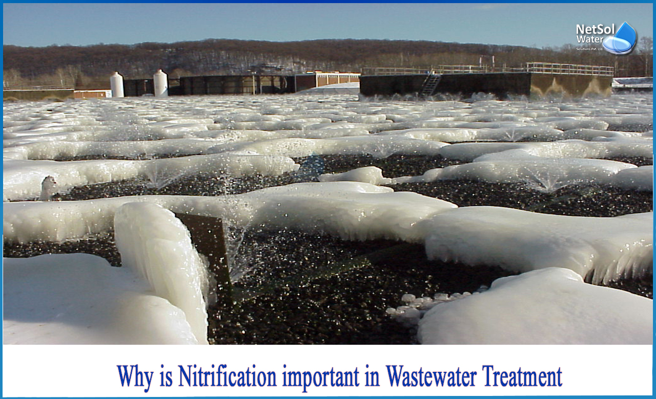 where does nitrification occur in wastewater treatment, wastewater nitrification problems, nitrification and denitrification equation