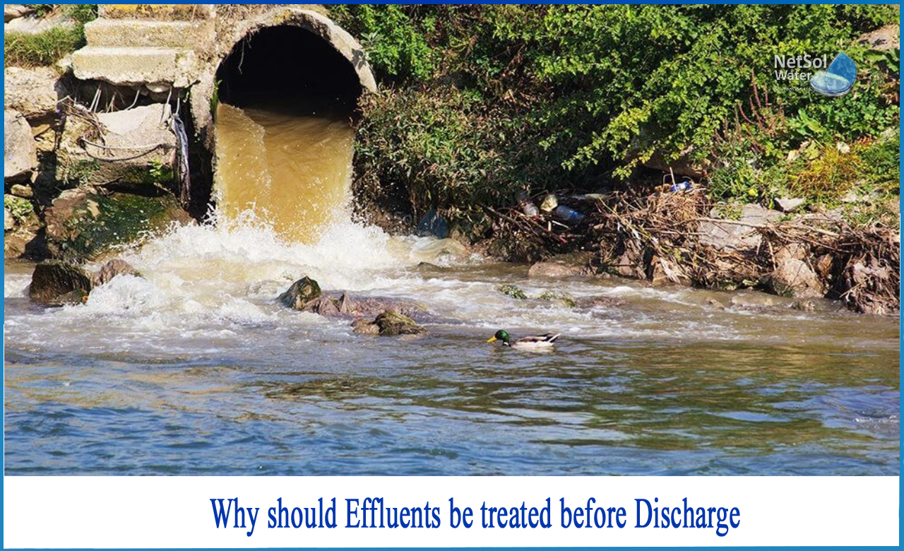 treatment of effluents before discharge, wastewater discharge standards in india, what is effluent treatment plant