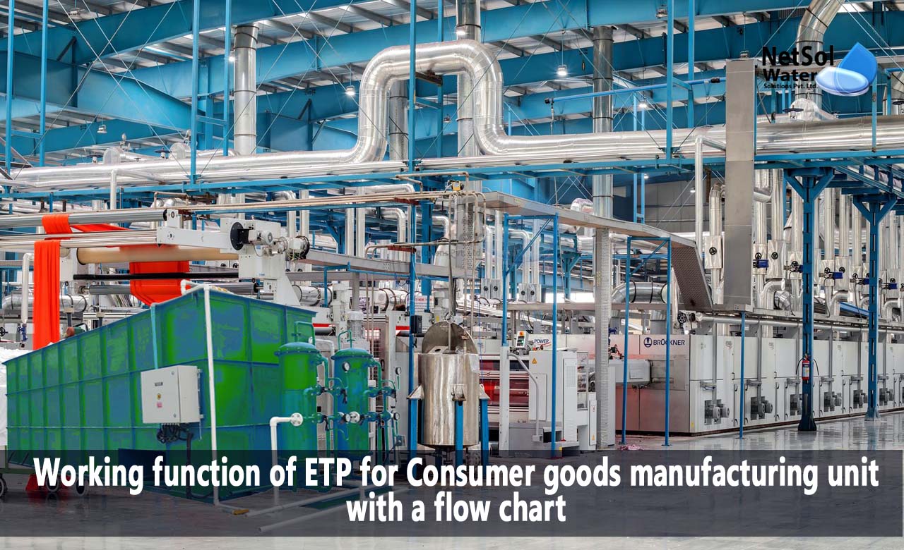 What Is the Consumer Goods Sector, Design an ETP for Consumer goods manufacturing unit