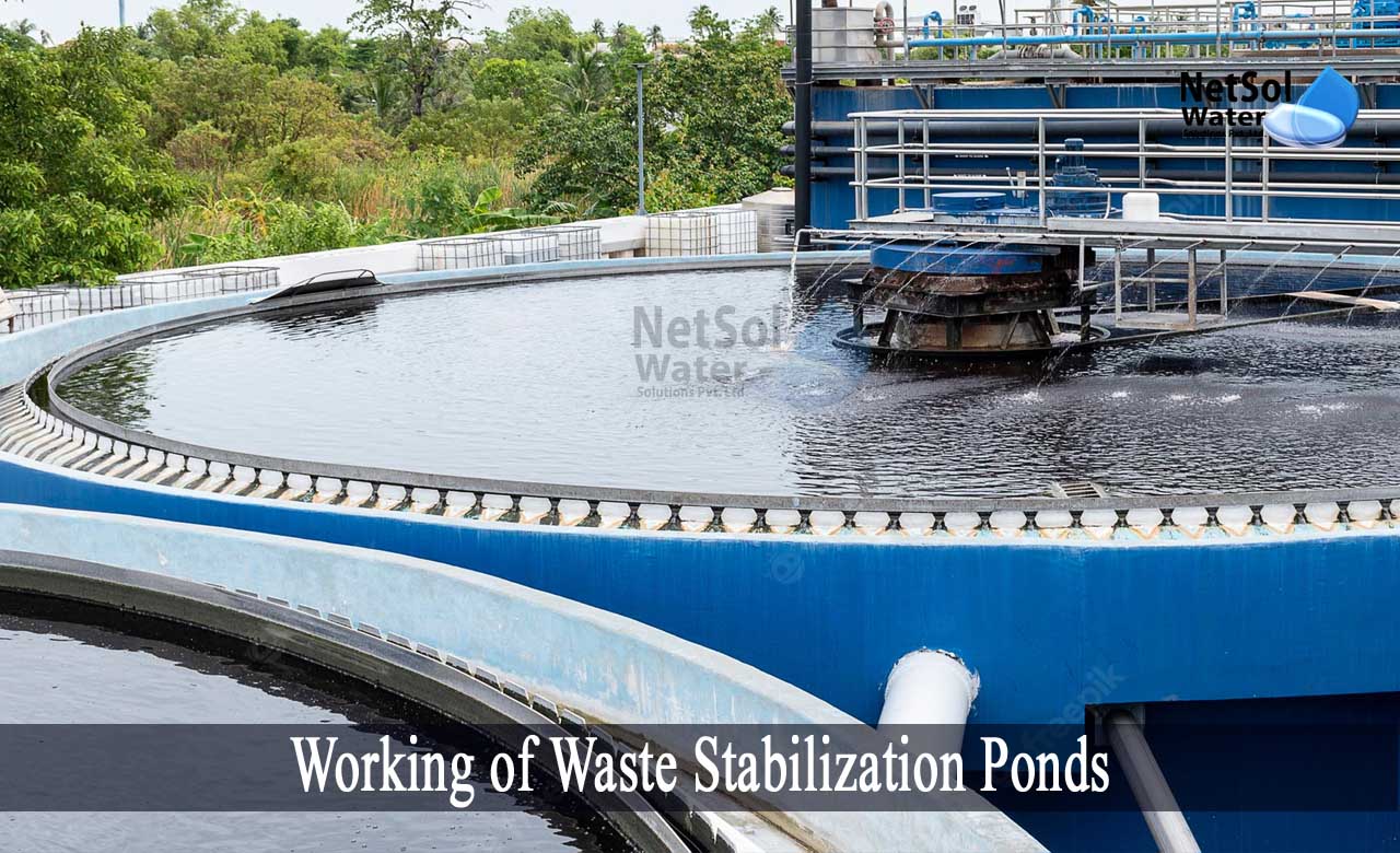 advantages of waste stabilization ponds, construction of waste stabilization ponds, facultative pond advantages and disadvantages