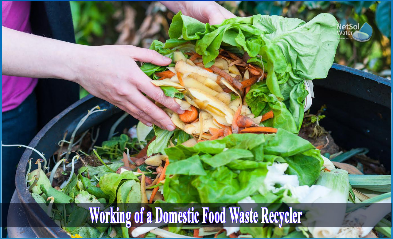 smart ways to recycle food waste, how to recycle food waste at home, reduce reuse recycle food waste