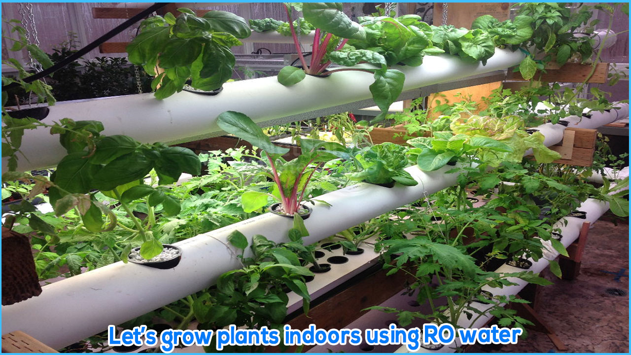 Grow plants indoor using RO water