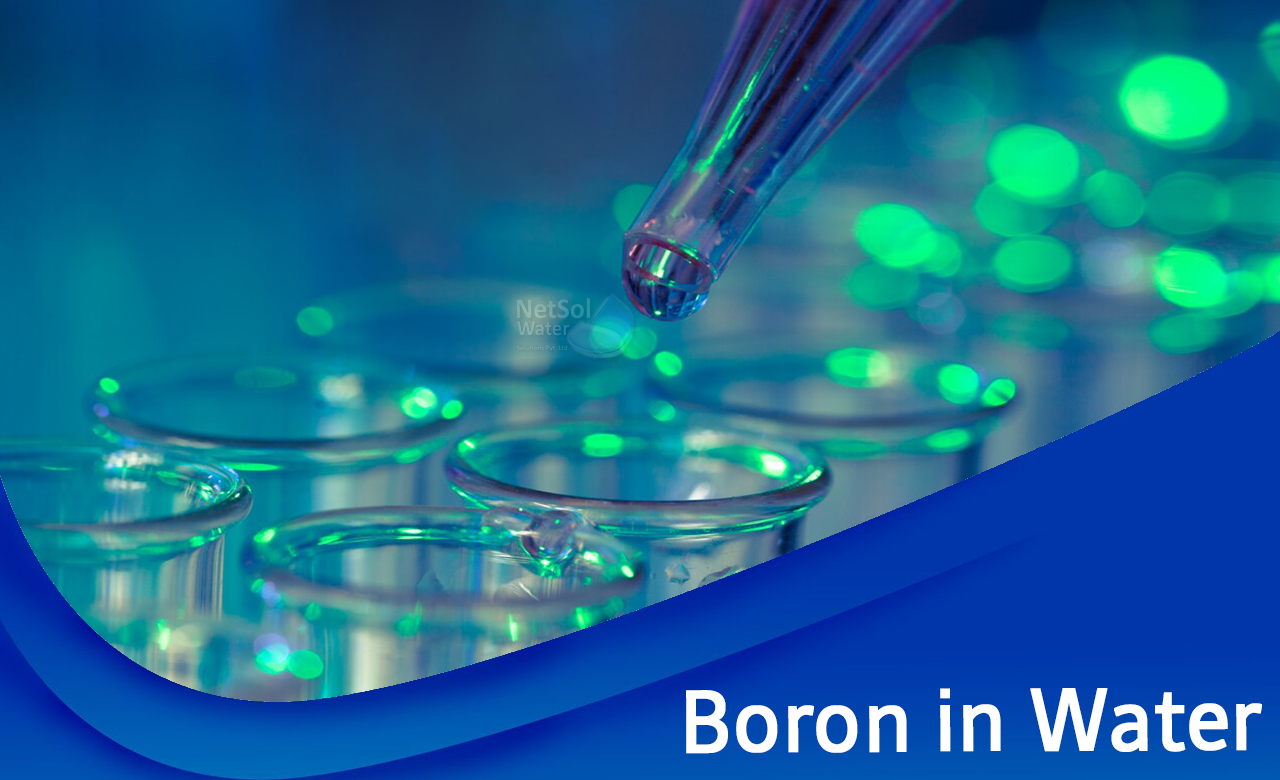 What is Boron in water?,  Health Risk and Removal of boron from water